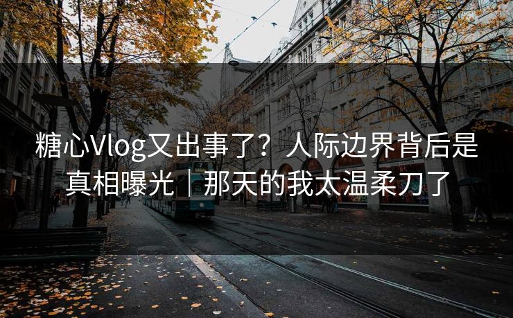 糖心Vlog又出事了？人际边界背后是真相曝光｜那天的我太温柔刀了